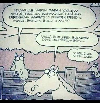 Al�nt�daki Ek 54940