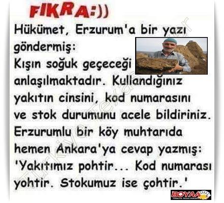 Al�nt�daki Ek 54946