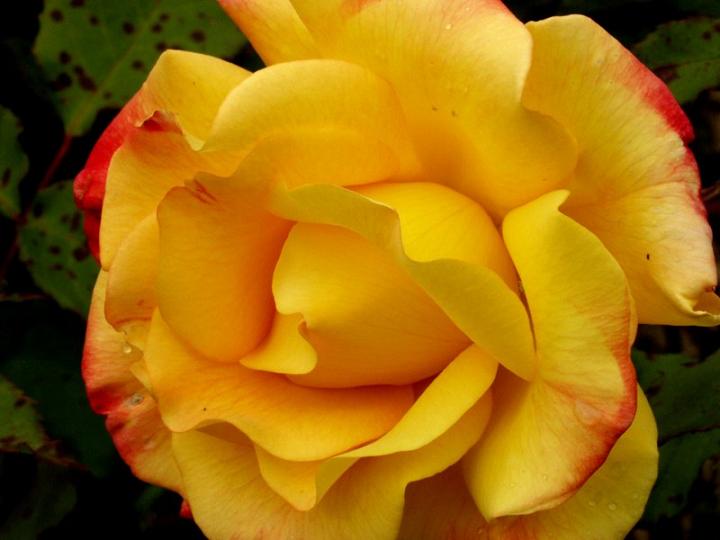 Ad:  rio%20samba%201.jpg
Gsterim: 355
Boyut:  46.0 KB