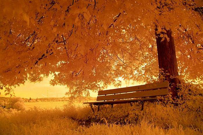 Ad:  Resim2.jpg
Gsterim: 444
Boyut:  74.0 KB