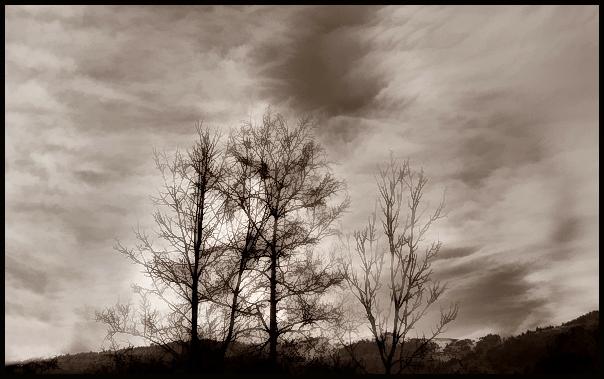 Ad:  tl_10-febrer-2006_021.jpg
Gsterim: 353
Boyut:  38.7 KB