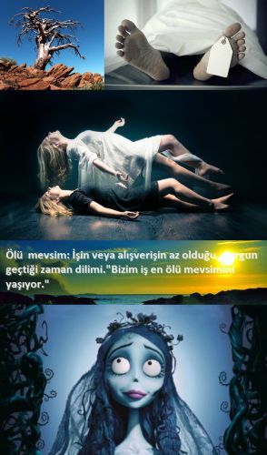 Ad: ölü.jpg
Gösterim: 379
Boyut: 32.1 KB Ad: ölü.jpg
Gösterim: 379
Boyut: 32.1 KB