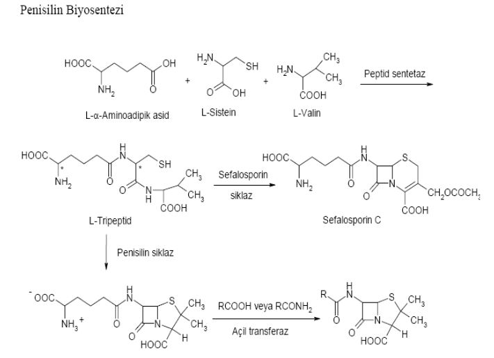 Ad:  4.JPG
Gsterim: 4934
Boyut:  39.7 KB