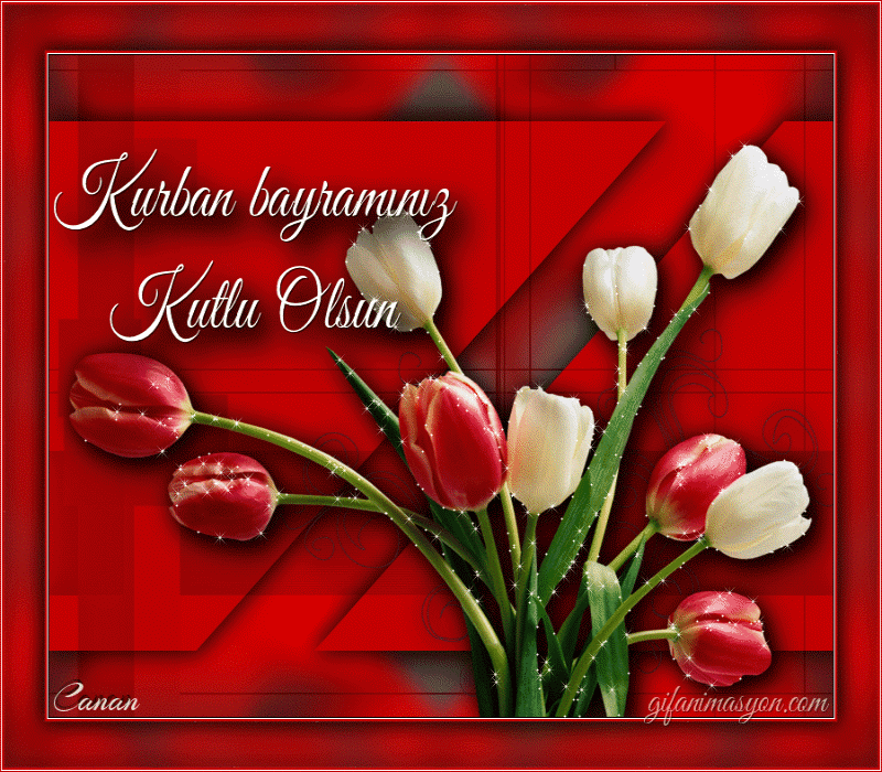 Ad:  5.gif
Gsterim: 14533
Boyut:  385.1 KB