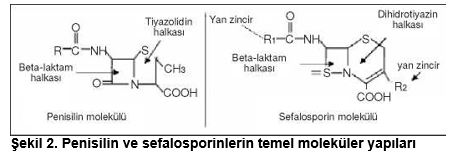 Ad: 2.JPG
Gösterim: 1508
Boyut: 22.7 KB