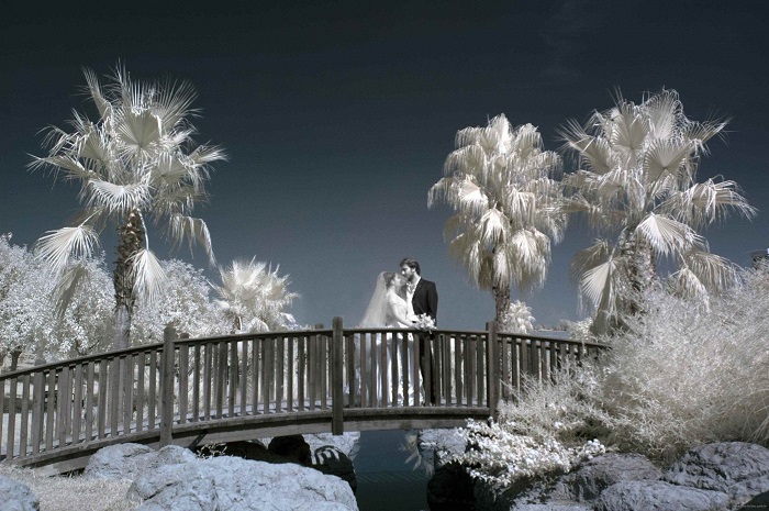 Ad:  Kzltesi-Fotoraf9.JPG
Gsterim: 191
Boyut:  143.8 KB