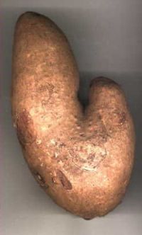 Ad:  yam.jpg
Gsterim: 491
Boyut:  10.0 KB