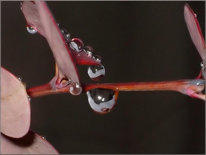 Ad:  wdrops5284ni.jpg
Gsterim: 229
Boyut:  30.2 KB