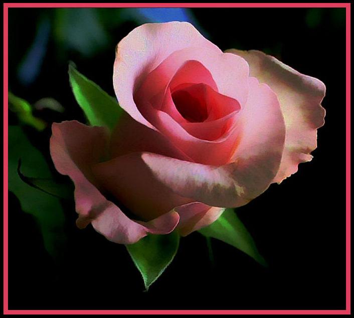 Ad:  oude_rose.jpg
Gsterim: 213
Boyut:  43.9 KB