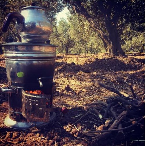 Ad:  mehtapvural semaver ay.jpg
Gsterim: 97
Boyut:  74.4 KB