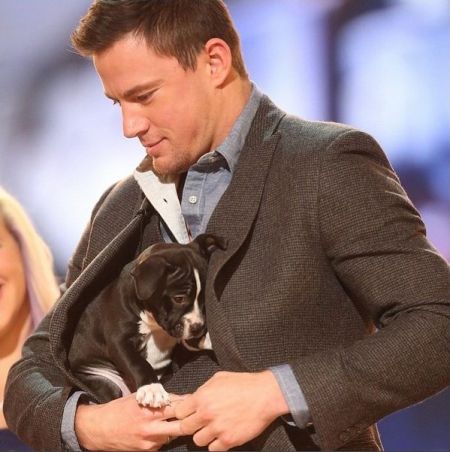 Ad:  channing tatum hayvan sevgisi.jpg
Gsterim: 529
Boyut:  35.6 KB