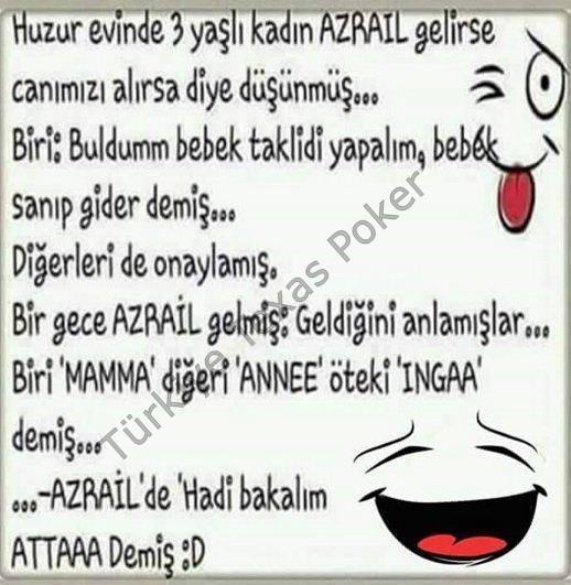 Al�nt�daki Ek 55681