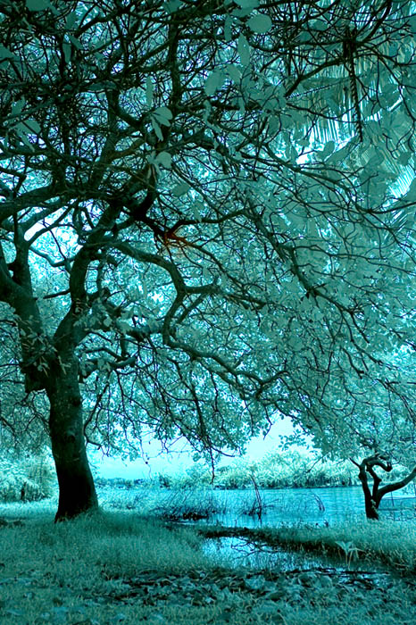 Ad:  dsc_3001a.jpg
Gsterim: 314
Boyut:  155.2 KB