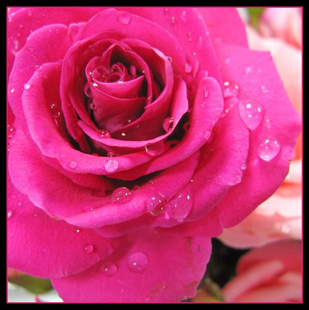 Ad:  pink.jpg
Gsterim: 329
Boyut:  46.3 KB