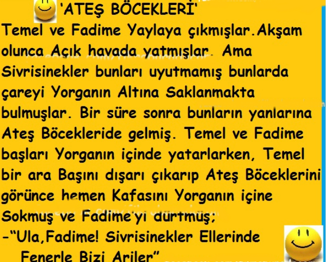 Al�nt�daki Ek 55748