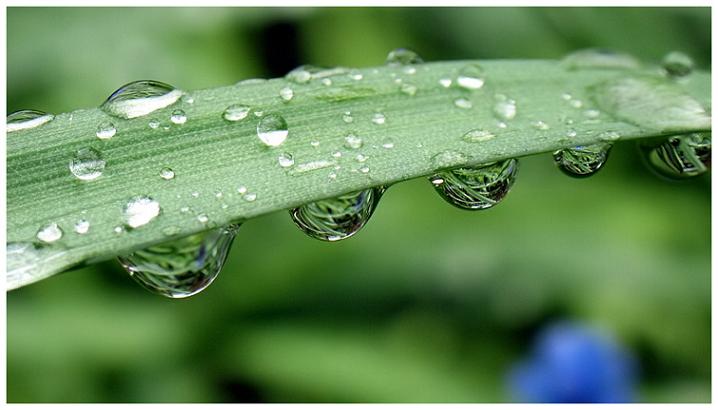 Ad:  86_23_filtered2.jpg
Gsterim: 211
Boyut:  37.5 KB