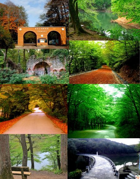 Ad: belgrad ormanı2.jpg
Gösterim: 417
Boyut: 81.6 KB