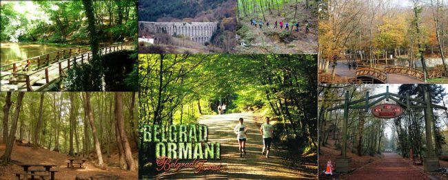 Ad: belgrad ormanı1.jpg
Gösterim: 422
Boyut: 62.1 KB