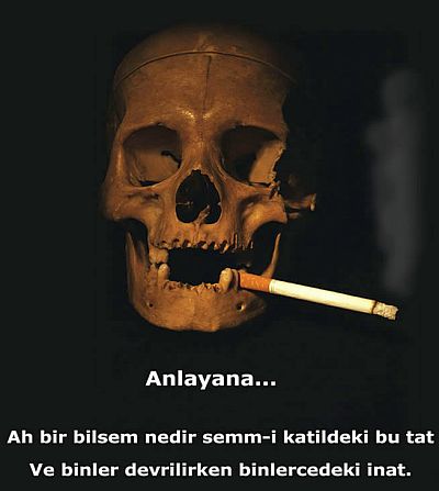 Ad:  anlayana.jpg
Gsterim: 218
Boyut:  22.6 KB