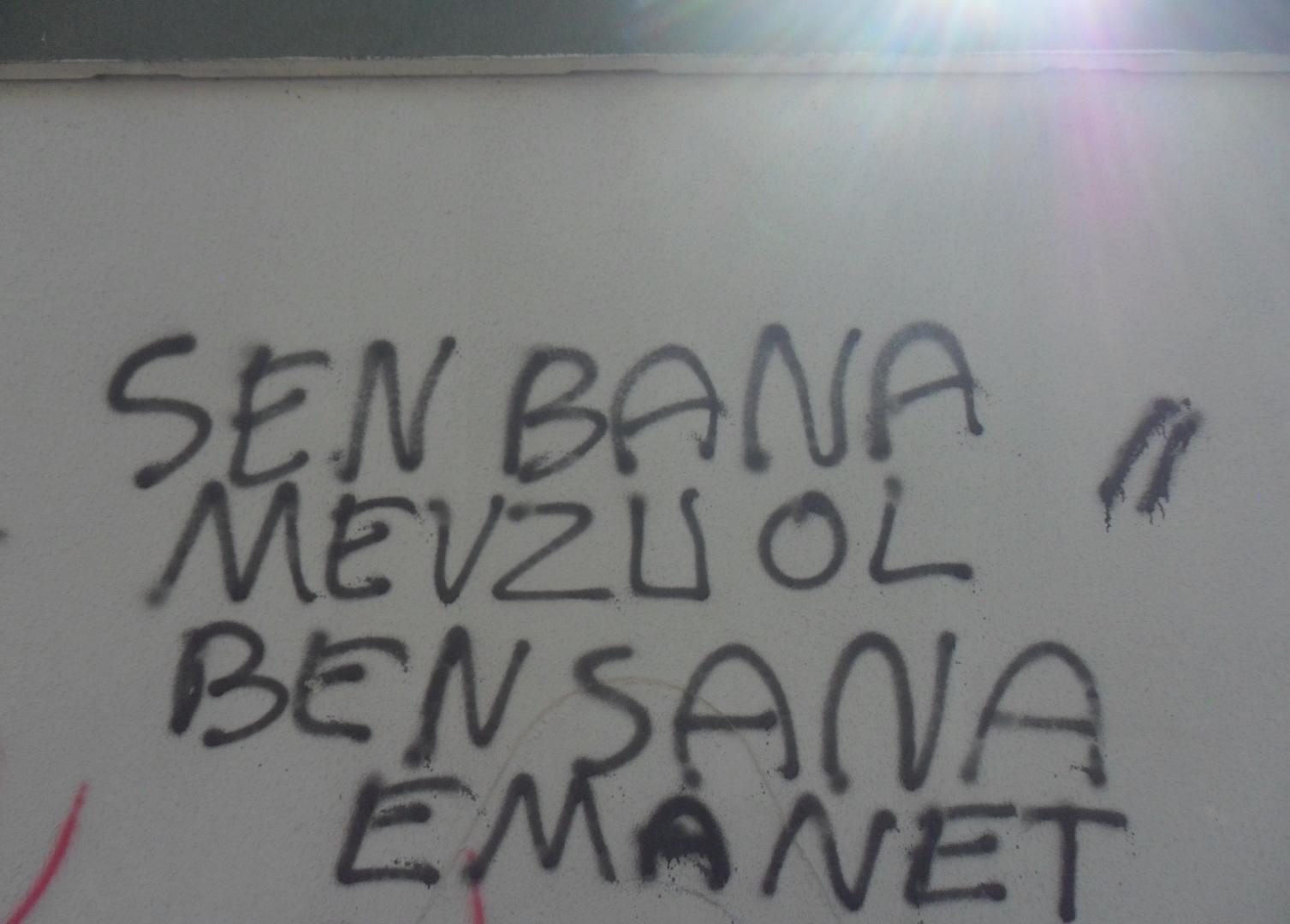 Ad:  SAM_0977.jpg
Gsterim: 104
Boyut:  93.6 KB