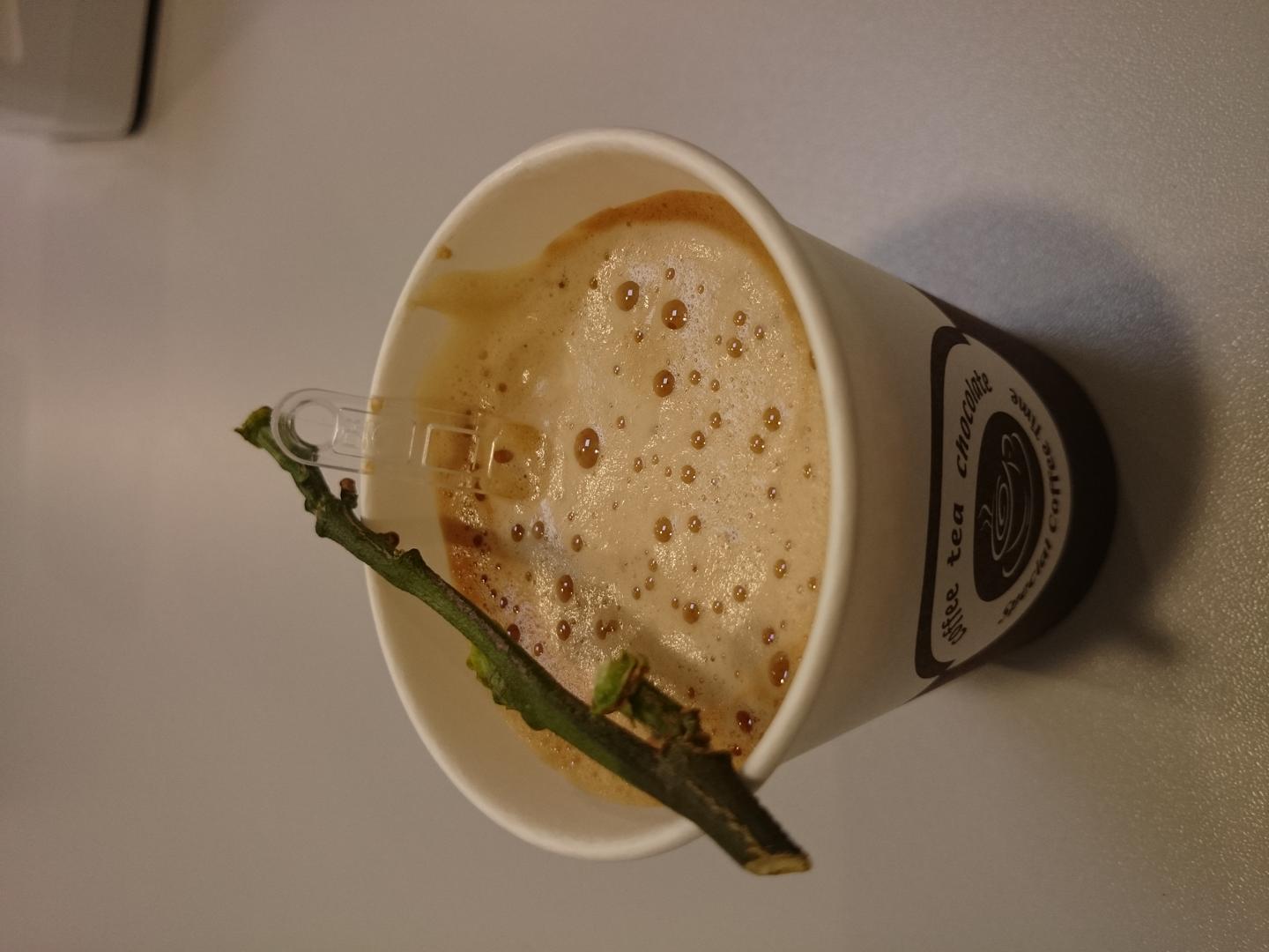 Ad:  DSC_0529.jpg
Gsterim: 92
Boyut:  98.8 KB