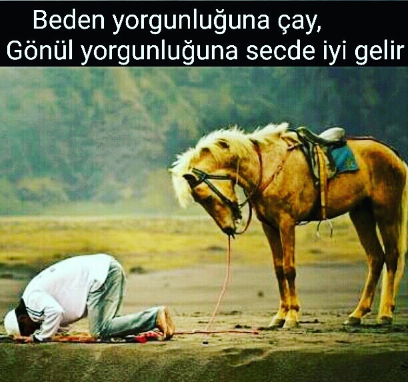 Ad:  ay vakti.jpg
Gsterim: 188
Boyut:  223.3 KB