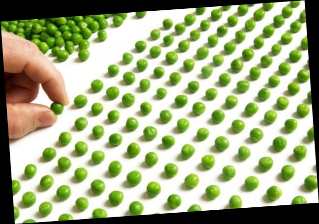 Ad:  8.jpg
Gsterim: 3002
Boyut:  51.1 KB