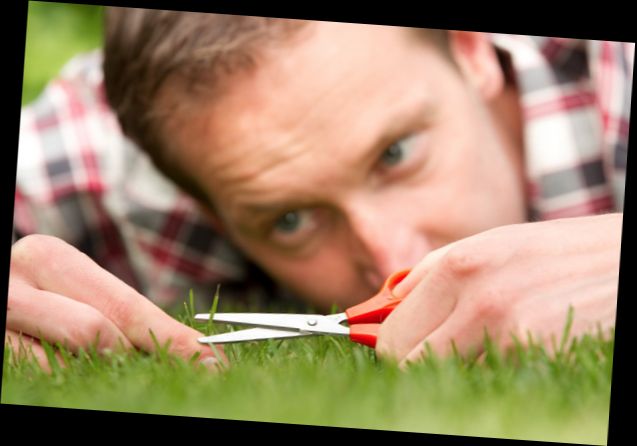 Ad:  10.jpg
Gsterim: 529
Boyut:  31.4 KB