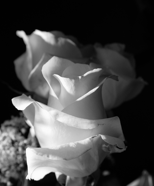 Ad: picture-104.jpg
Gösterim: 268
Boyut: 101.2 KB