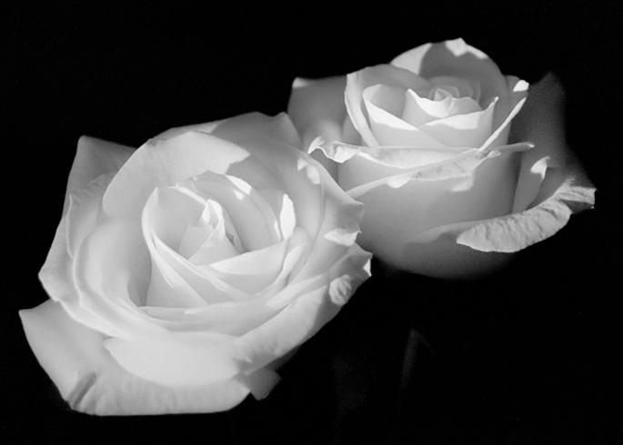 Ad: 8_filtered-copybw.jpg
Gösterim: 322
Boyut: 21.6 KB