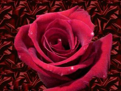 Ad:  silver31.jpg
Gsterim: 186
Boyut:  47.1 KB