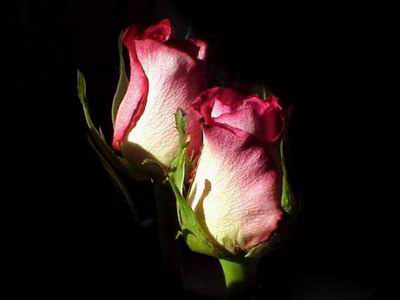 Ad:  silver30.jpg
Gsterim: 211
Boyut:  25.4 KB