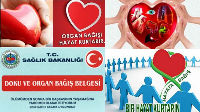 Ad: bağışı.jpg
Gösterim: 3860
Boyut: 50.5 KB Ad: bağışı.jpg
Gösterim: 3860
Boyut: 50.5 KB
