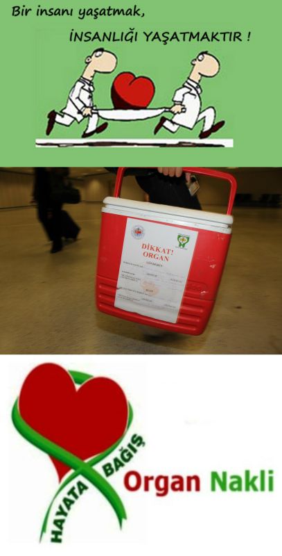 Ad:  nakli.jpg
Gsterim: 1376
Boyut:  38.5 KB