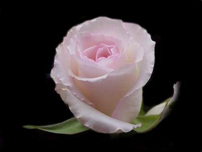 Ad:  silver27.jpg
Gsterim: 204
Boyut:  22.1 KB