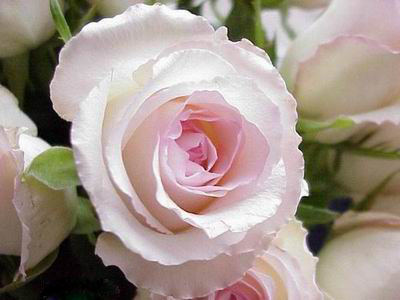 Ad:  silver26.jpg
Gsterim: 203
Boyut:  37.6 KB