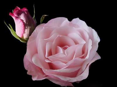 Ad:  silver25.jpg
Gsterim: 200
Boyut:  30.0 KB