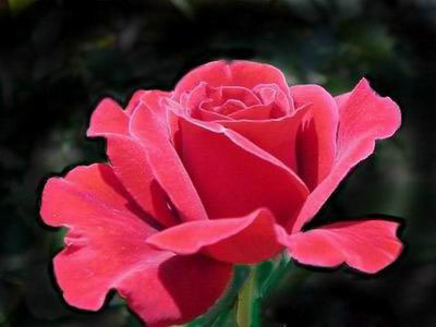 Ad:  silver02.jpg
Gsterim: 184
Boyut:  34.9 KB