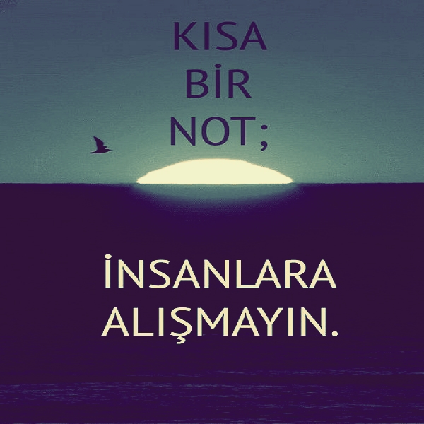 Ad:  5b3f4f130cde51a18890a191983c710b.jpg
G�sterim: 131
Boyut:  160.0 KB