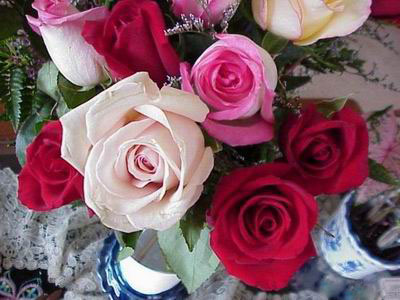 Ad:  silver01.jpg
Gsterim: 168
Boyut:  53.0 KB