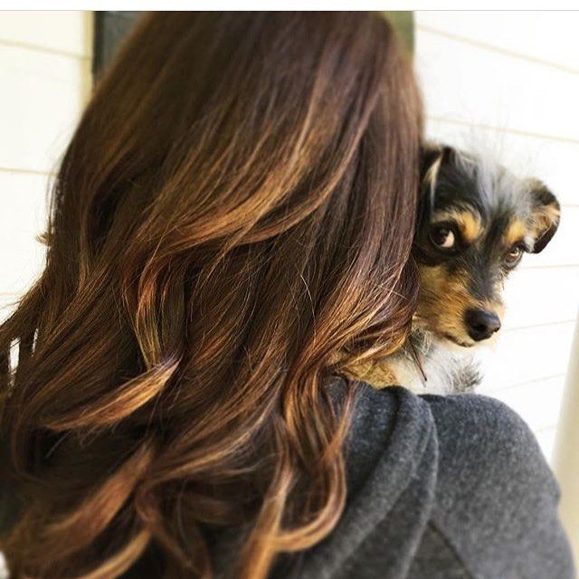 Ad:  elizabeth r.jpg
Gsterim: 154
Boyut:  66.5 KB