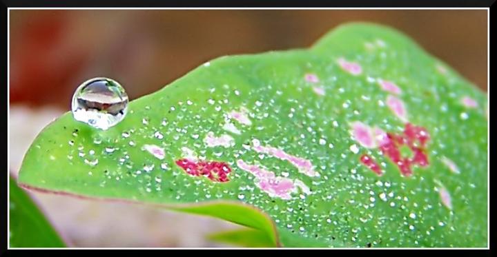 Ad:  100_1836.jpg
Gsterim: 209
Boyut:  40.4 KB