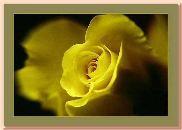 Ad:  gul_376.jpg
Gsterim: 188
Boyut:  33.8 KB