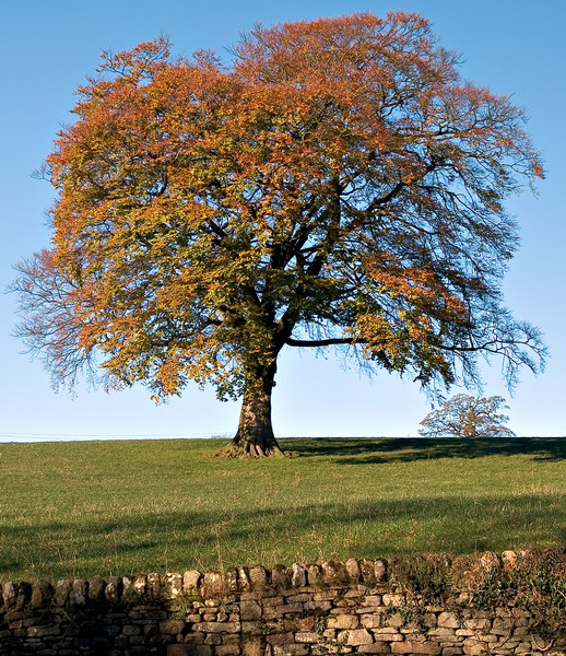 Ad:  pb179746.jpg
Gsterim: 590
Boyut:  177.8 KB