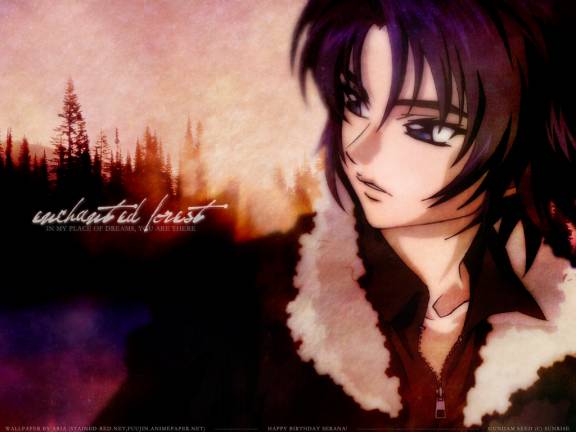 Ad:  [large][AnimePaper]wallpapers_Mobile-Suit-Gundam-SEED_Fuujin_18570.jpg
Gsterim: 210
Boyut:  26.9 KB