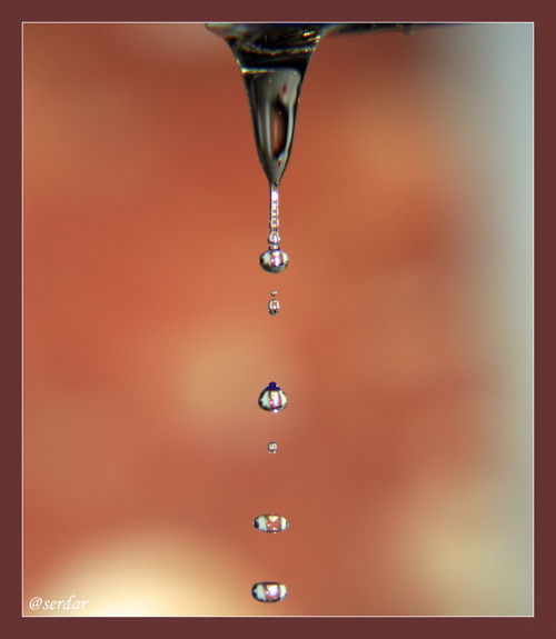 Ad:  damla2.jpg
Gsterim: 248
Boyut:  37.2 KB