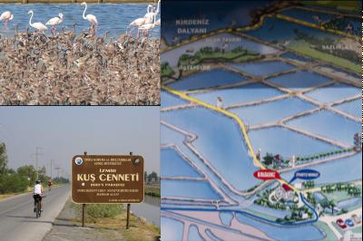 Ad: kuşş cenneti.jpg
Gösterim: 3098
Boyut: 23.8 KB