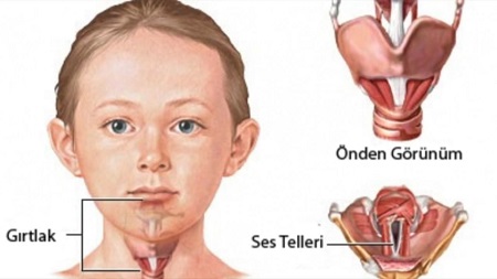 Ad:  grtlak.jpg
Gsterim: 2738
Boyut:  32.0 KB