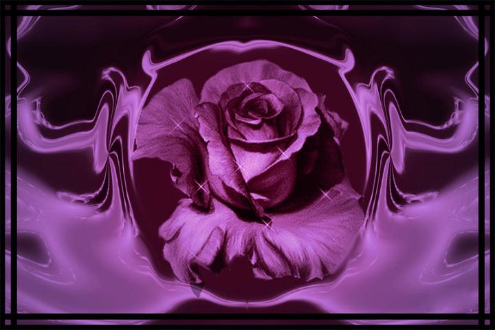 Ad:  rose24of.jpg
Gsterim: 333
Boyut:  55.7 KB