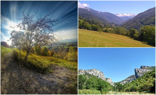 Ad:  Fransa Doa Resimleri.jpg
Gsterim: 322
Boyut:  37.7 KB